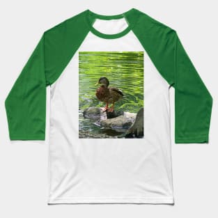 Birds - Duck on Rocks Baseball T-Shirt